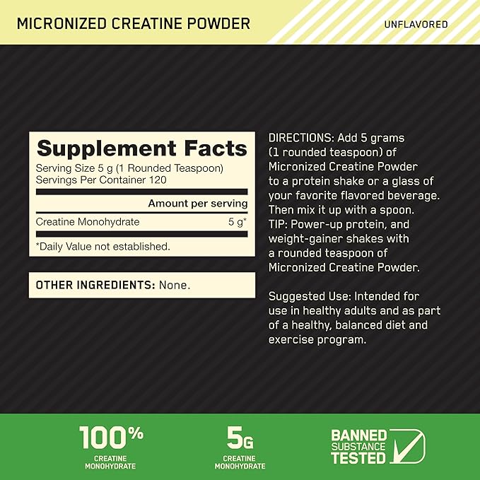 ON Creatina Micronizada — 600g