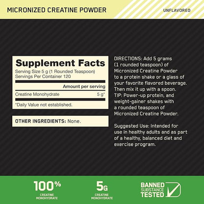 ON Creatina Micronizada — 600g